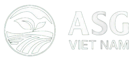 Công Ty TNHH Xuất Nhập Khẩu ASG Việt Nam